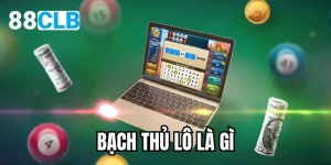 bạch thủ lô là gì
