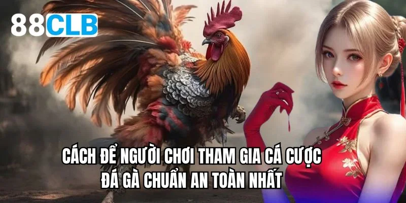 Cách để người chơi tham gia cá cược đá gà chuẩn an toàn nhất