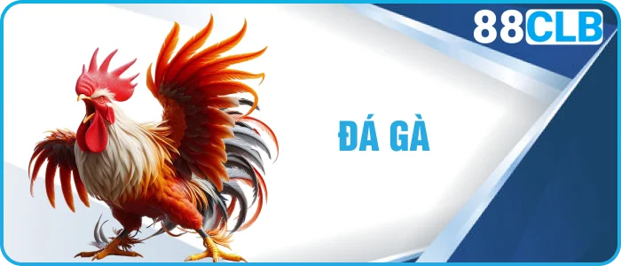 đá gà 88clbio.com