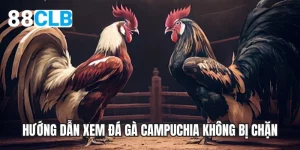 Hướng dẫn xem đá gà Campuchia không bị chặn