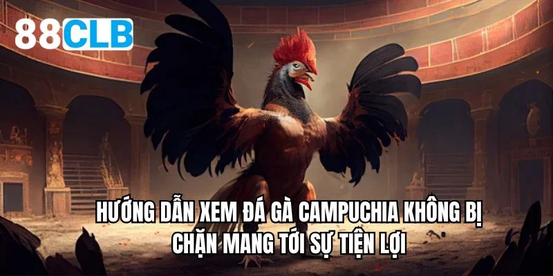 Hướng dẫn xem đá gà Campuchia không bị chặn mang tới sự tiện lợi