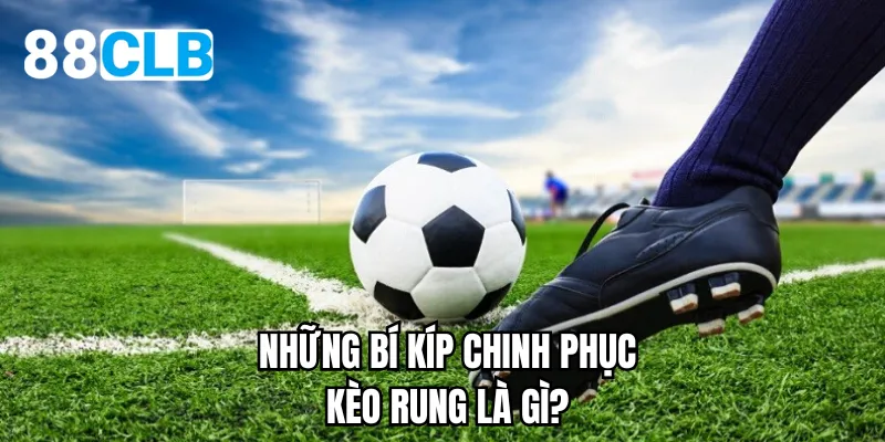 Những bí kíp chinh phục kèo rung là gì?