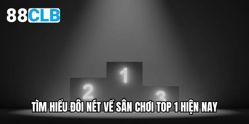 Tìm hiểu đôi nét về sân chơi top 1 hiện nay