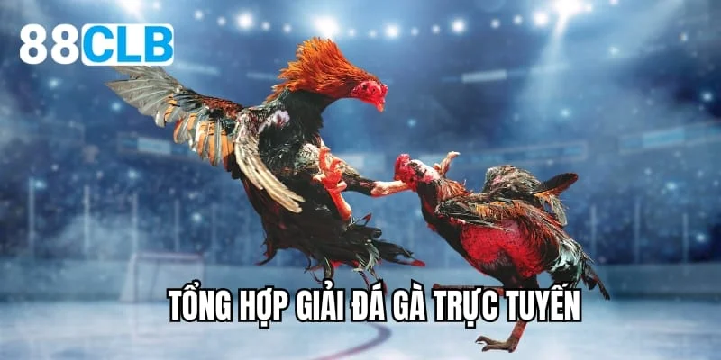 Tổng hợp giải đá gà trực tuyến tại 88CLB