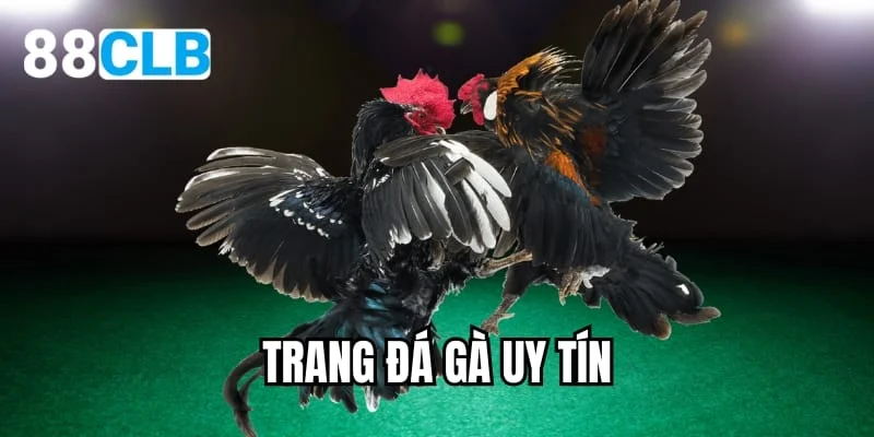 trang đá gà uy tín